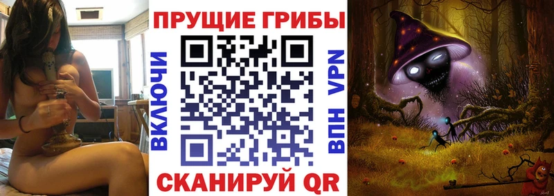 Псилоцибиновые грибы прущие грибы  Купить  Новотроицк 