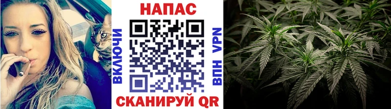 Купить  Новотроицк  Марихуана гибрид 